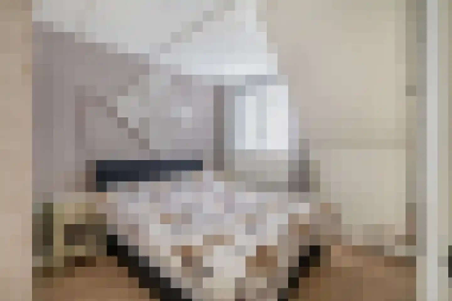 Wierbalg 1738 Julianadorp thumbnail 17
