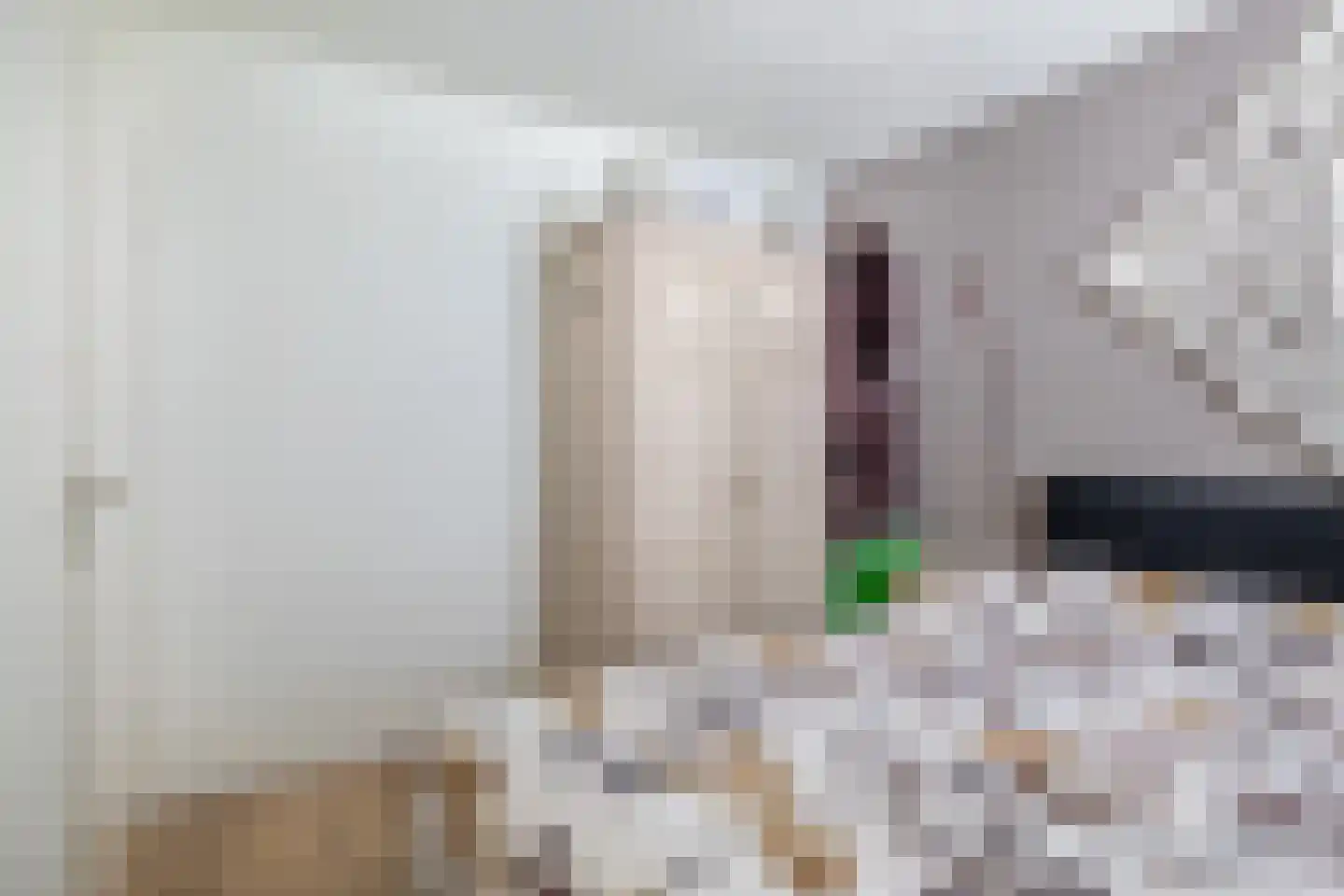 Wierbalg 1738 Julianadorp thumbnail 18