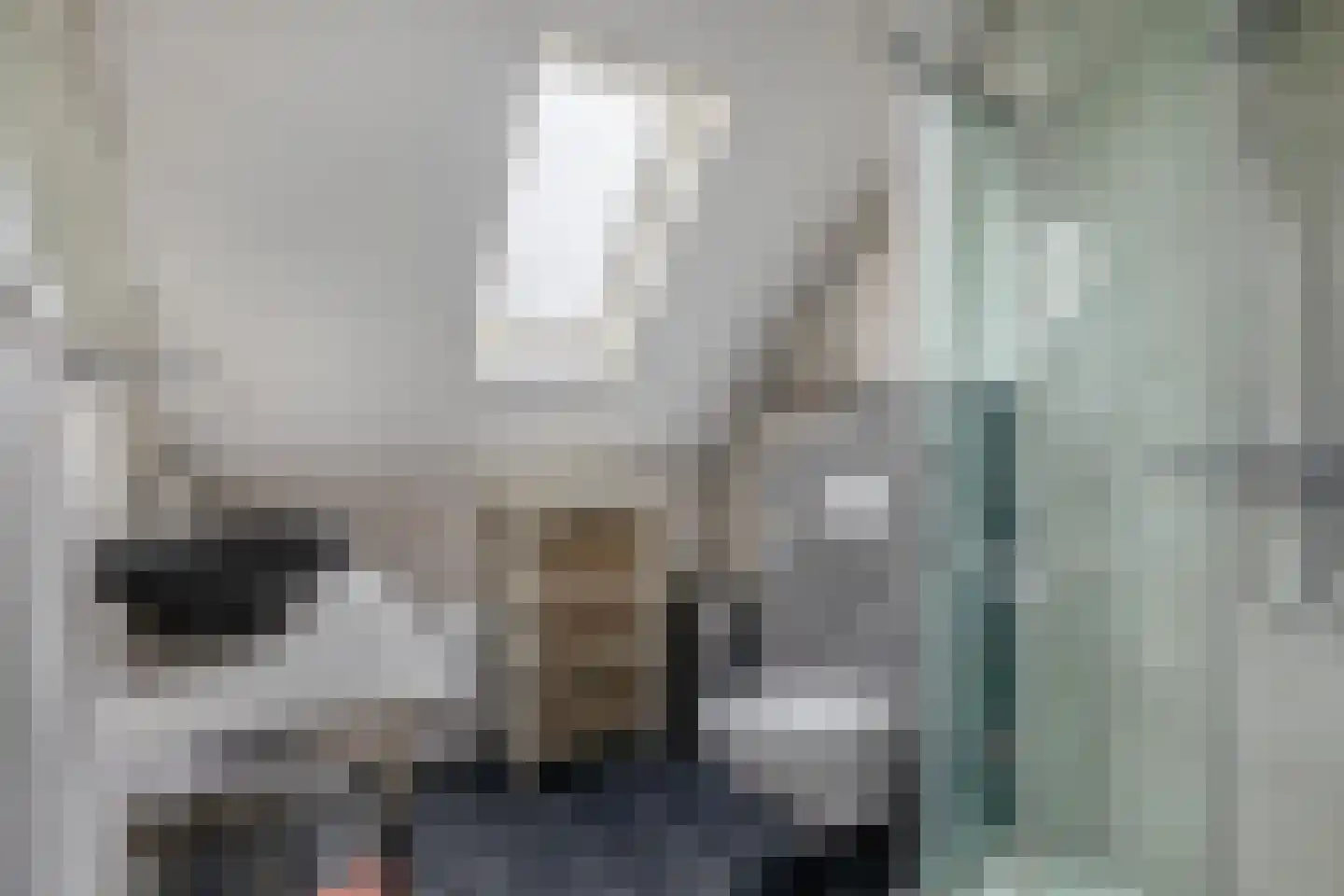 Wierbalg 1738 Julianadorp thumbnail 22