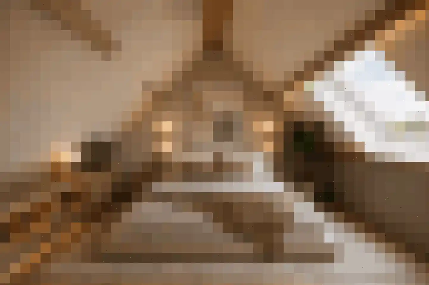Wierbalg 1738 Julianadorp thumbnail 25