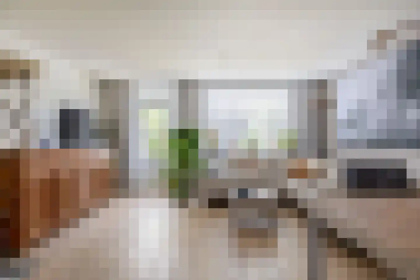 Wierbalg 1738 Julianadorp thumbnail 4