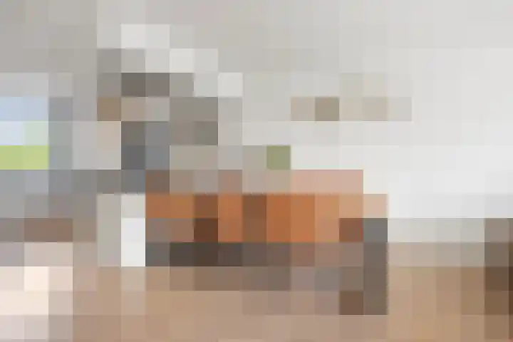 Wierbalg 1746 Julianadorp thumbnail 12