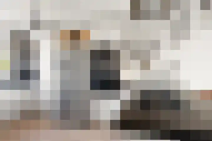 Wierbalg 1746 Julianadorp thumbnail 14