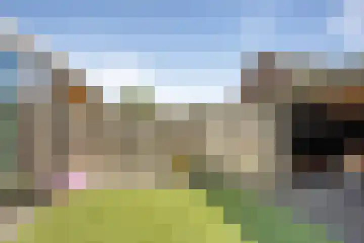 Wierbalg 1746 Julianadorp thumbnail 24