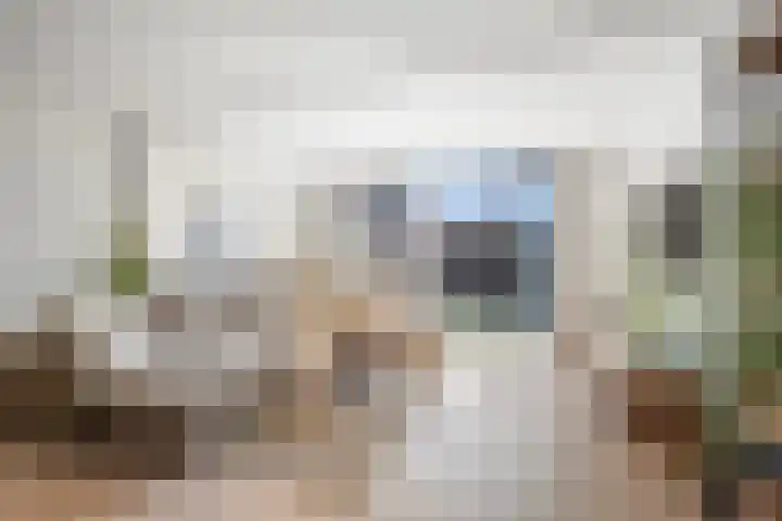 Wierbalg 1746 Julianadorp thumbnail 8