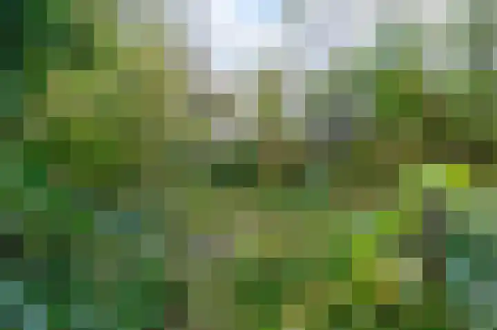 Wierbalg 1835 Julianadorp thumbnail 15