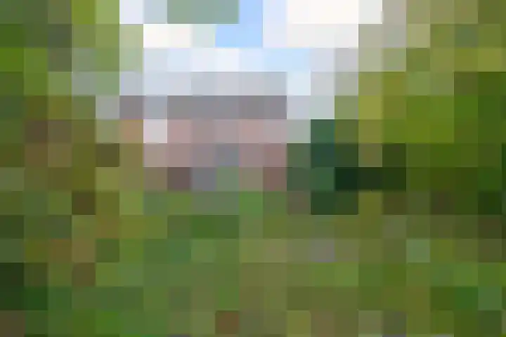 Wierbalg 1835 Julianadorp thumbnail 16