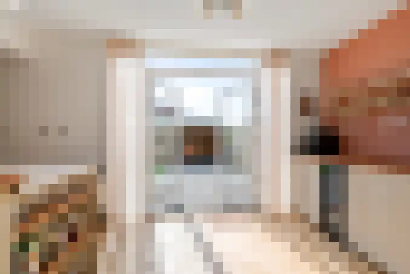 Wierbalg 1911 Julianadorp thumbnail 20