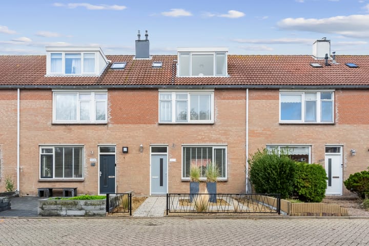 Wierbalg 1929 en Julianadorp foto