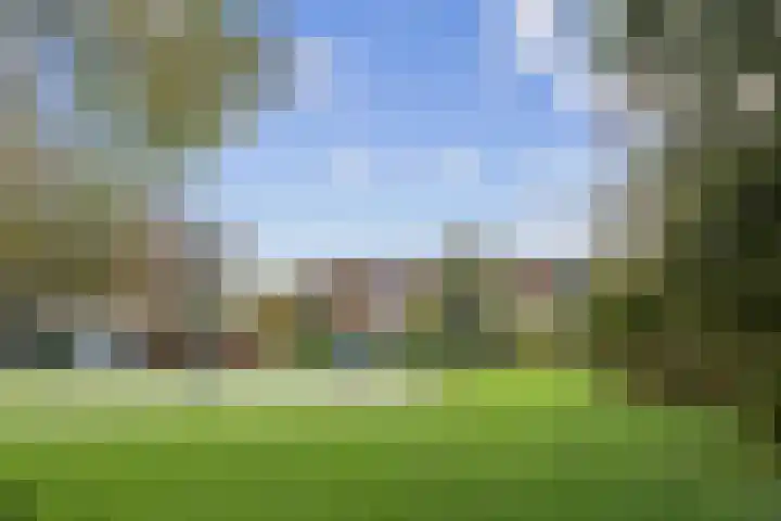 Wierbalg 1929 Julianadorp thumbnail 47