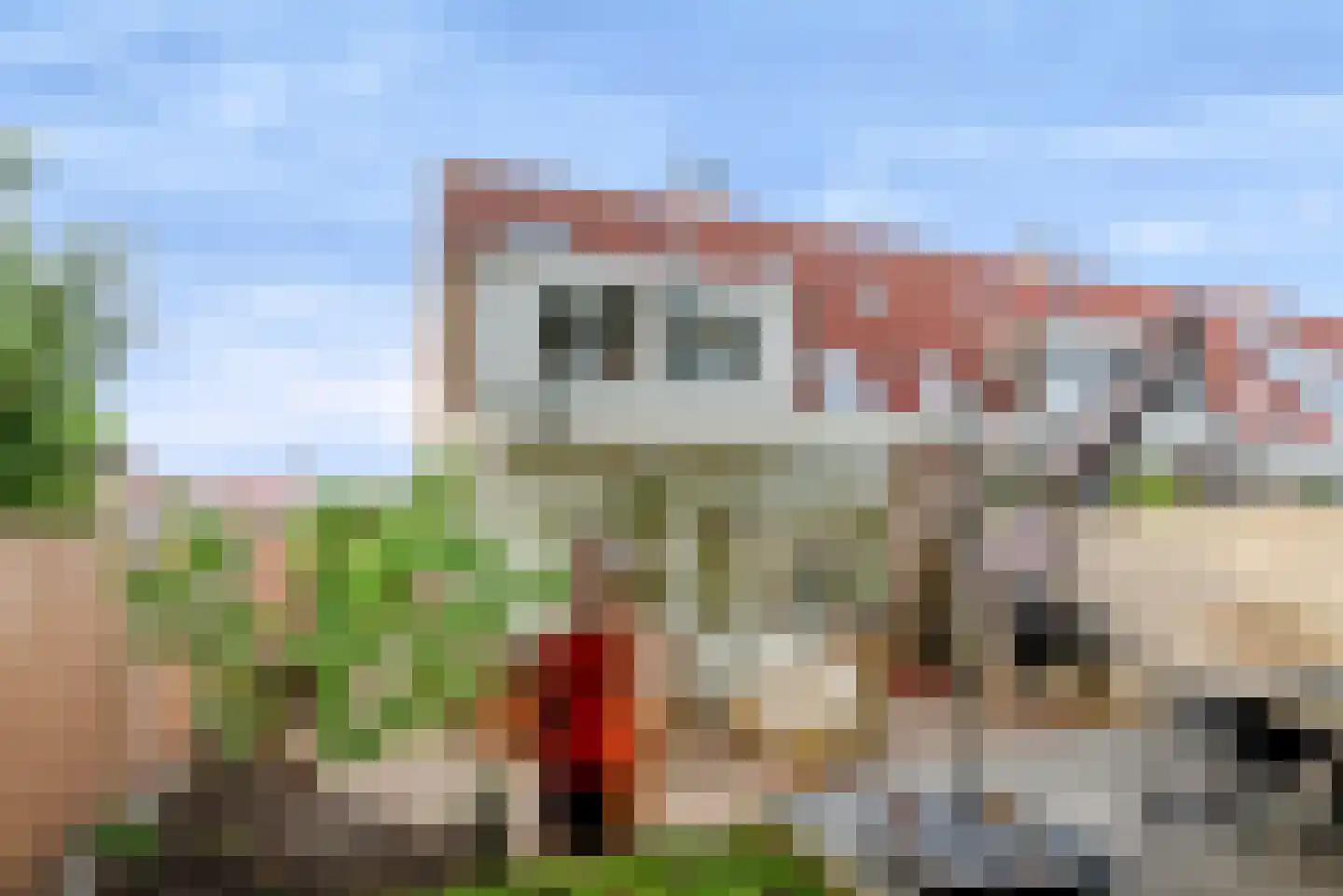 Wierbalg 1961 Julianadorp thumbnail 5