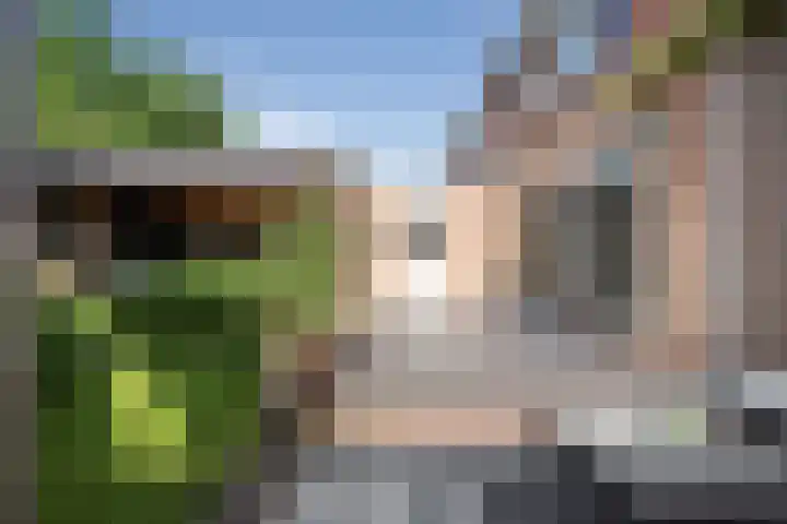 Wierbalg 1970 Julianadorp thumbnail 23
