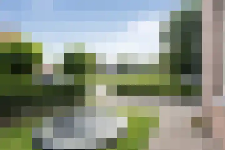 Wierbalg 1970 Julianadorp thumbnail 4