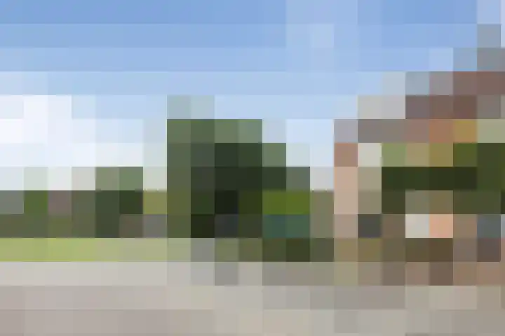 Wierbalg 1970 Julianadorp thumbnail 47