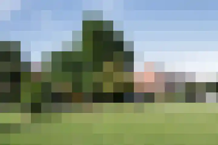 Wierbalg 1970 Julianadorp thumbnail 48