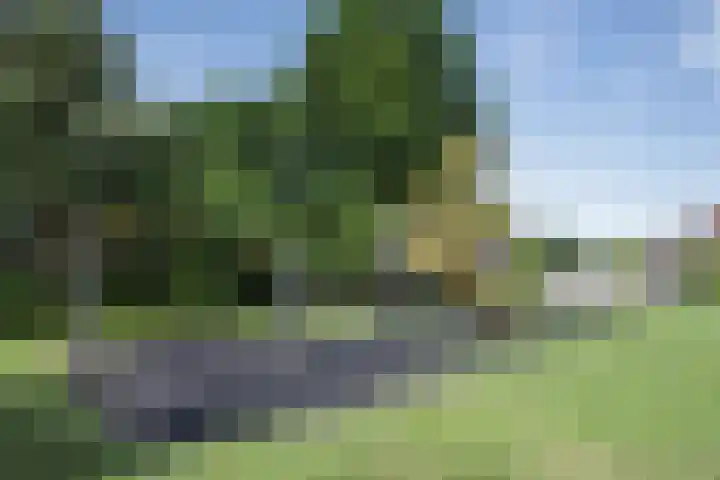 Wierbalg 1970 Julianadorp thumbnail 49