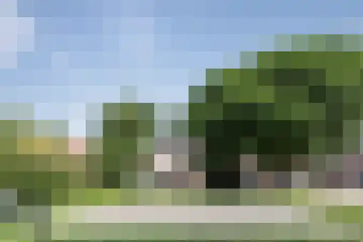 Wierbalg 1970 Julianadorp thumbnail 50