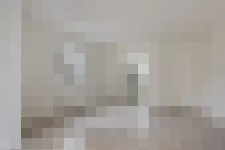 Wierbalg 1981 Julianadorp thumbnail 10