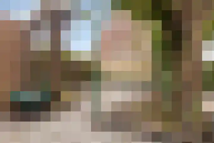 Wierbalg 1981 Julianadorp thumbnail 16