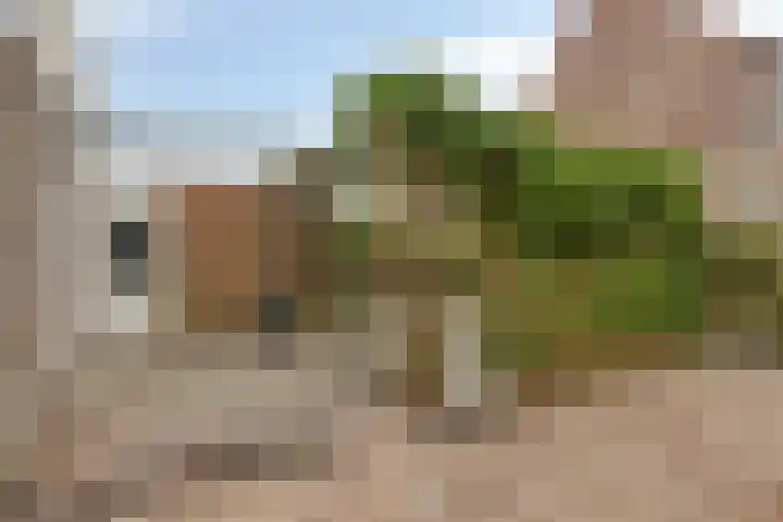 Wierbalg 1981 Julianadorp thumbnail 17