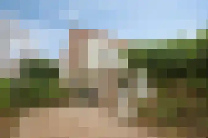Wierbalg 1981 Julianadorp thumbnail 18