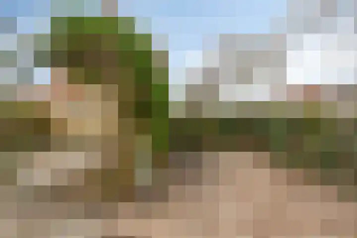 Wierbalg 1981 Julianadorp thumbnail 19