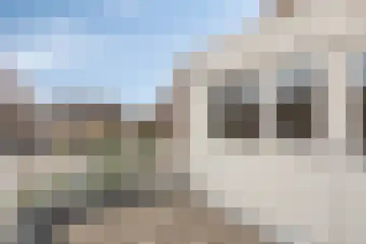 Wierbalg 1981 Julianadorp thumbnail 23