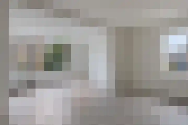 Wierbalg 1981 Julianadorp thumbnail 8