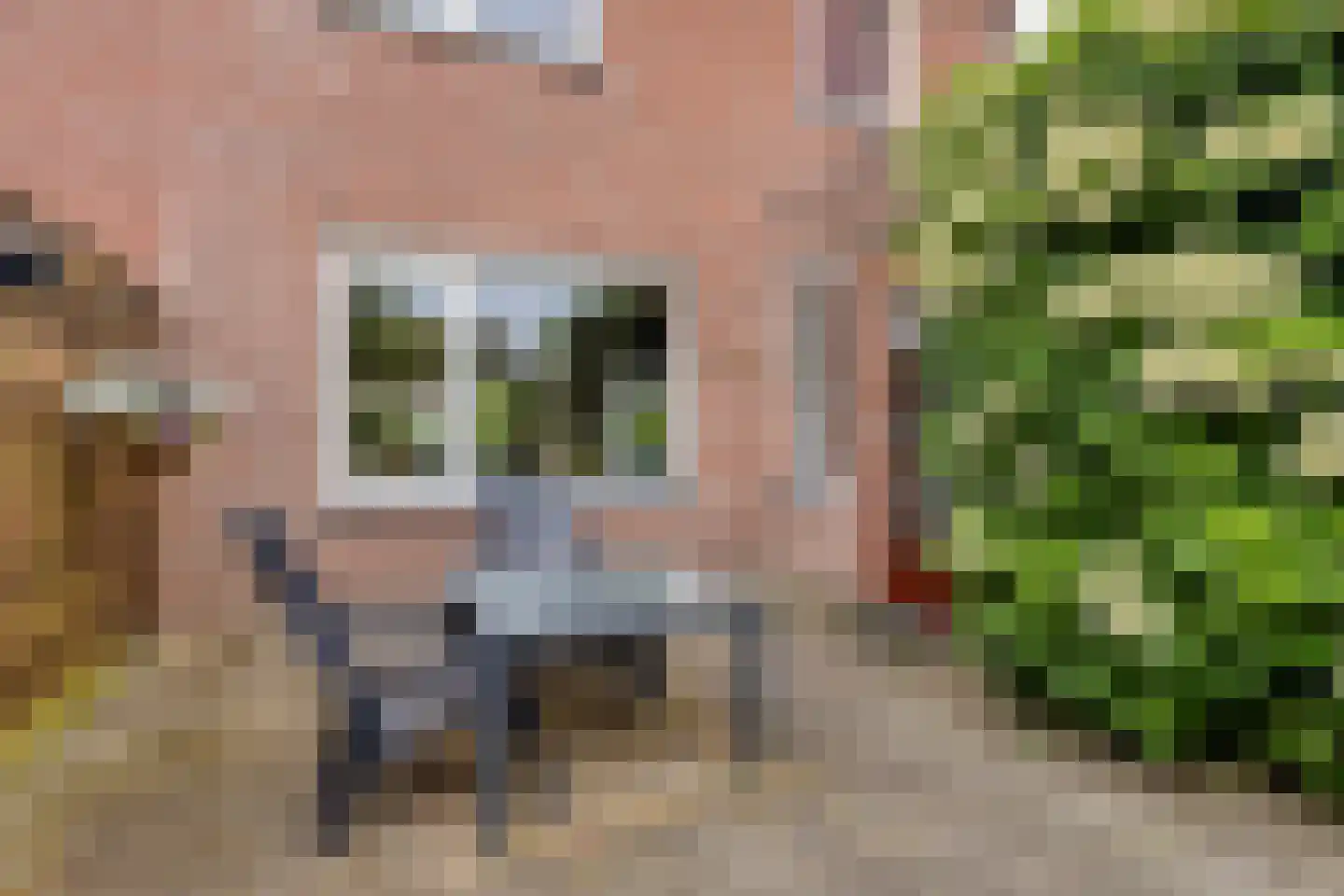 Wierbalg 2506 Julianadorp thumbnail 32