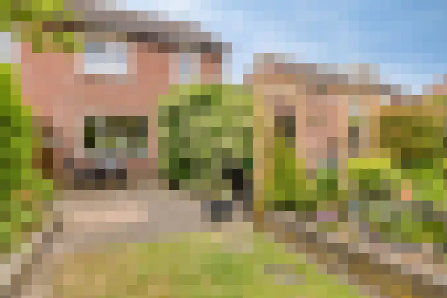 Wierbalg 2506 Julianadorp thumbnail 34