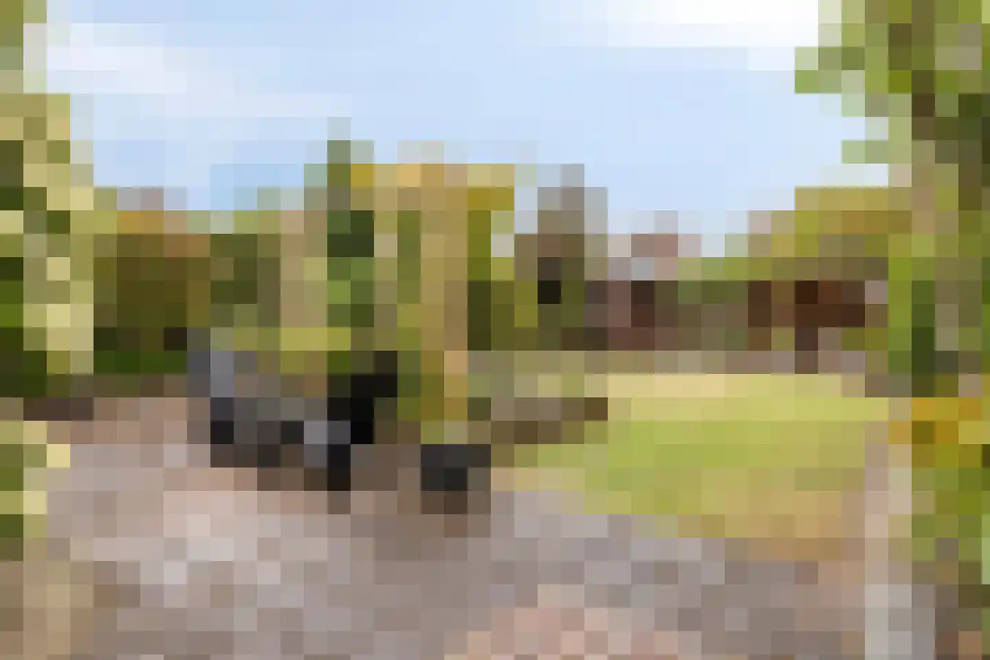 Wierbalg 2506 Julianadorp thumbnail 35