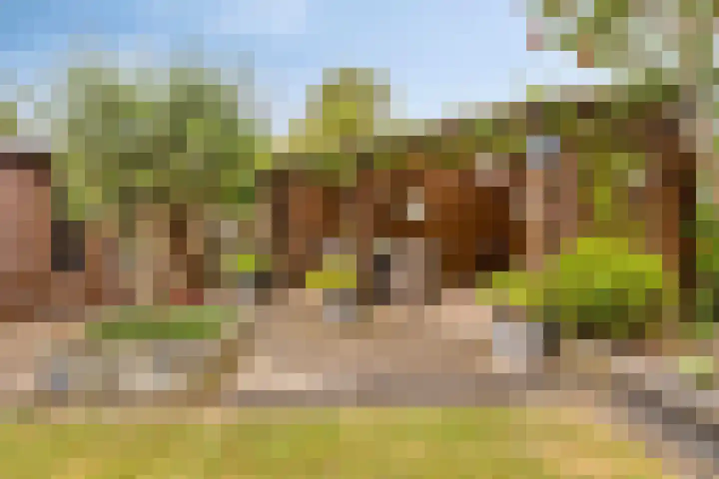 Wierbalg 2506 Julianadorp thumbnail 37