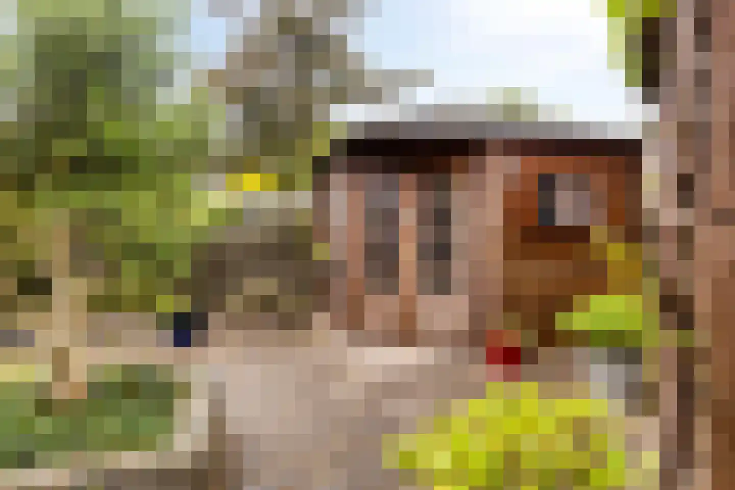 Wierbalg 2506 Julianadorp thumbnail 38