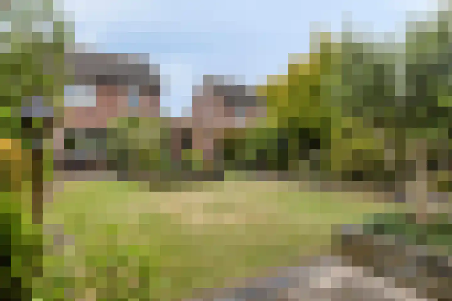 Wierbalg 2506 Julianadorp thumbnail 4