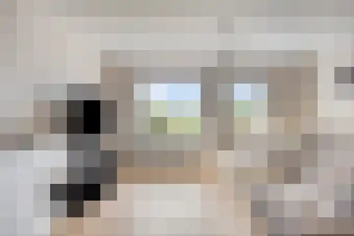 Wierbalg 2522 Julianadorp thumbnail 10