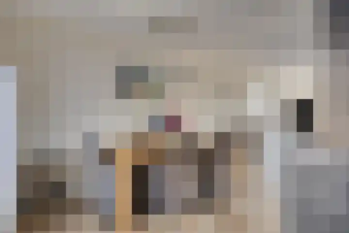 Wierbalg 2522 Julianadorp thumbnail 14