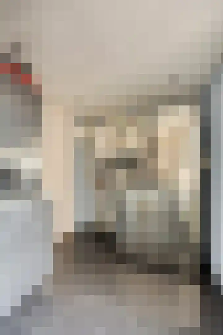 Wierbalg 2522 Julianadorp thumbnail 17