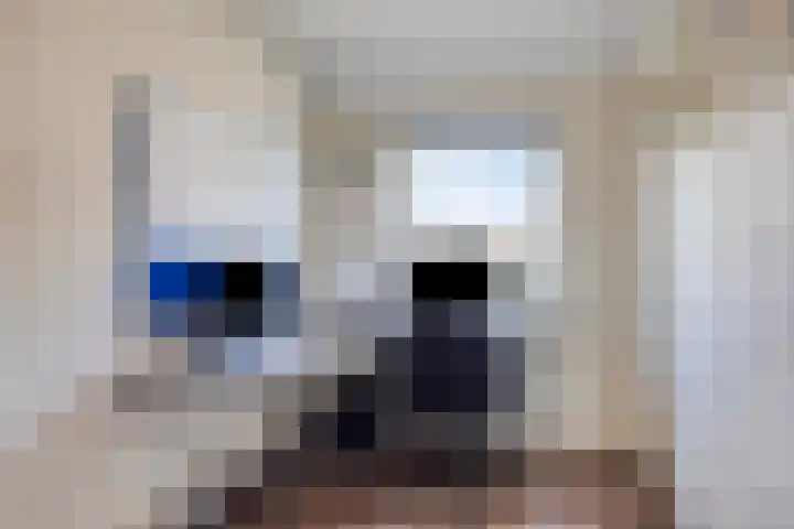 Wierbalg 2522 Julianadorp thumbnail 22