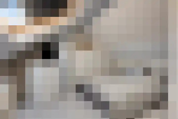 Wierbalg 2522 Julianadorp thumbnail 23