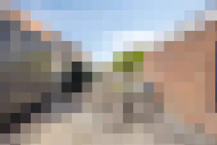 Wierbalg 2522 Julianadorp thumbnail 26
