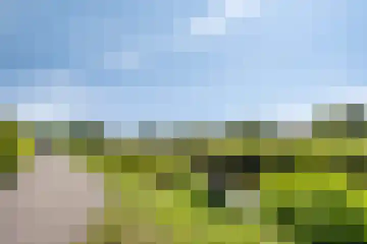 Wierbalg 2522 Julianadorp thumbnail 28