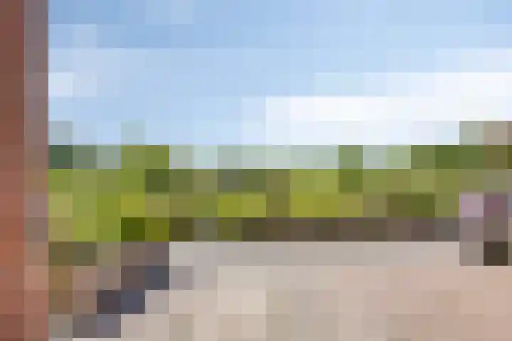 Wierbalg 2522 Julianadorp thumbnail 29