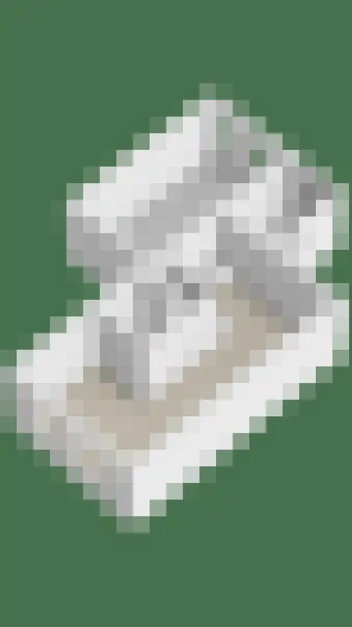 Wierbalg 2522 Julianadorp thumbnail 32