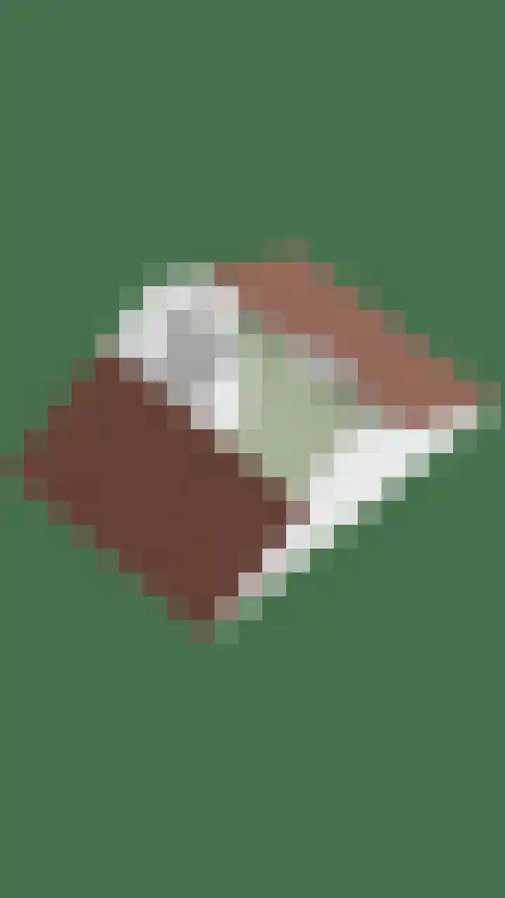 Wierbalg 2522 Julianadorp thumbnail 33