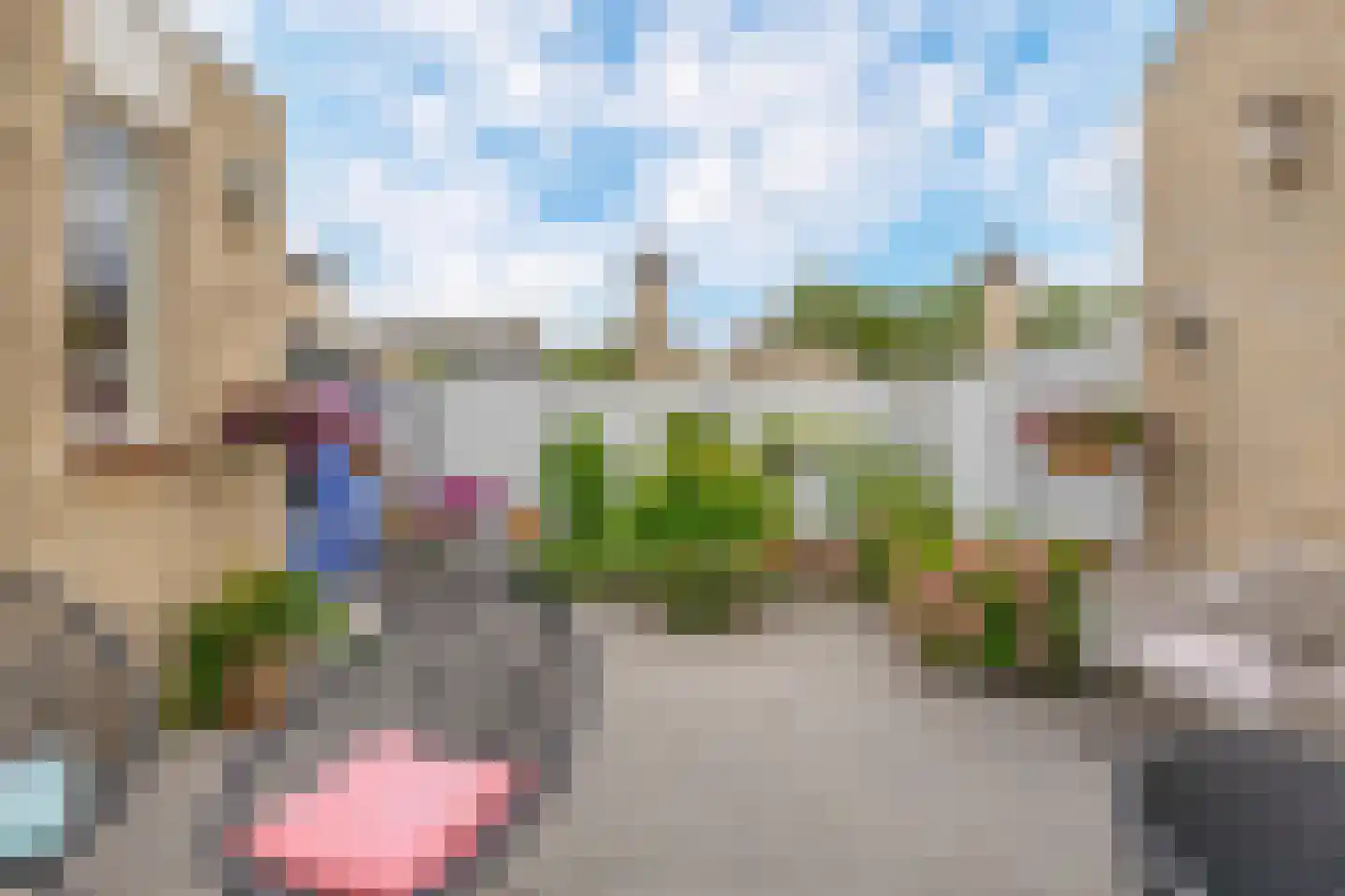 Wierbalg 2531 Julianadorp thumbnail 12
