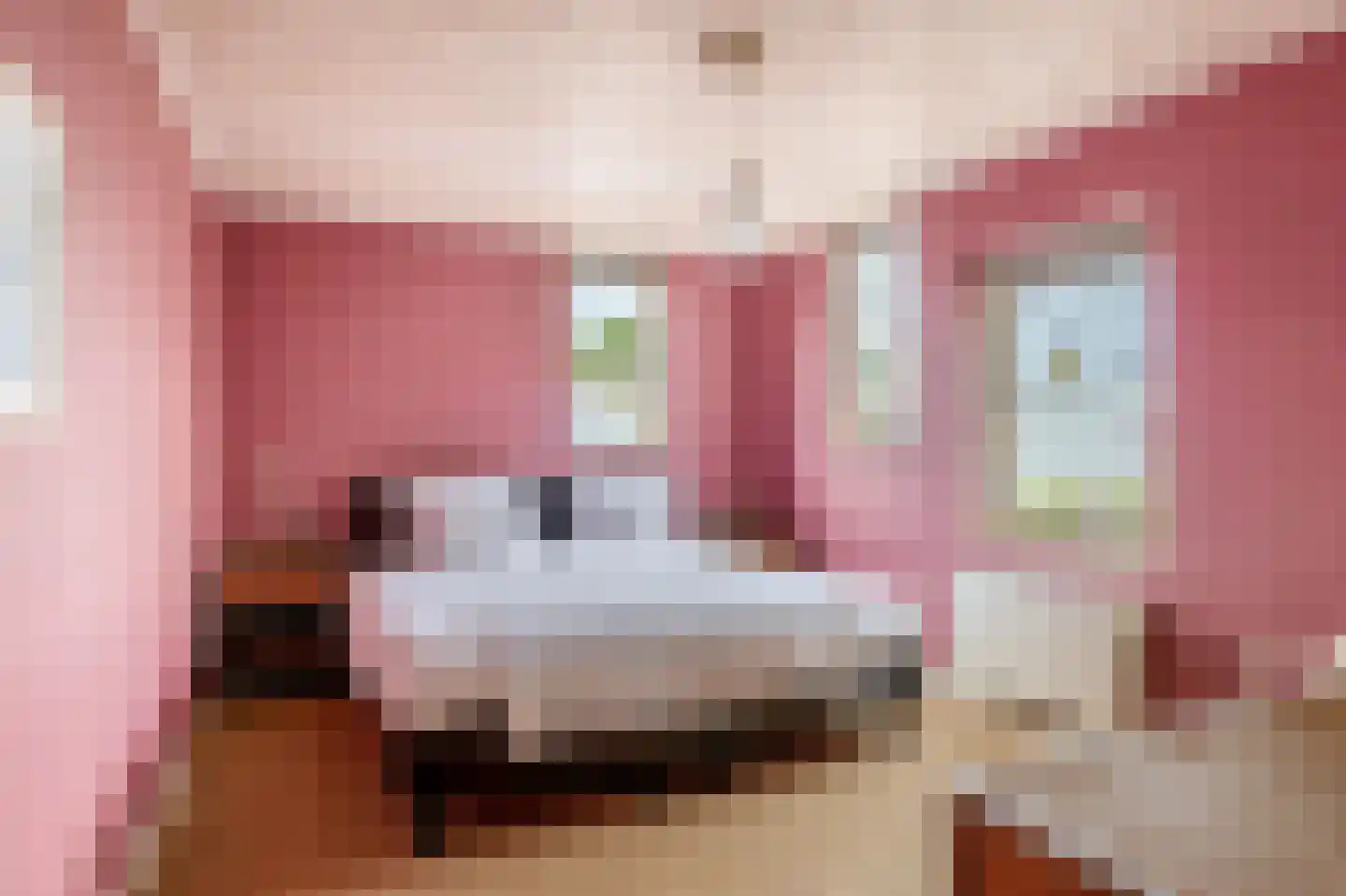Wierbalg 2531 Julianadorp thumbnail 15