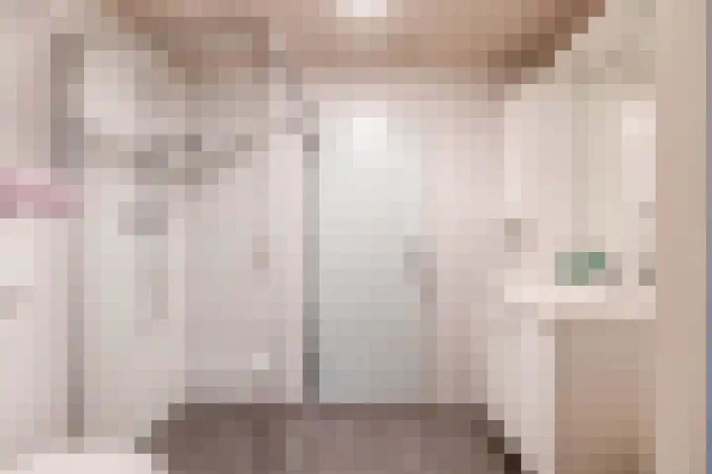 Wierbalg 2531 Julianadorp thumbnail 17