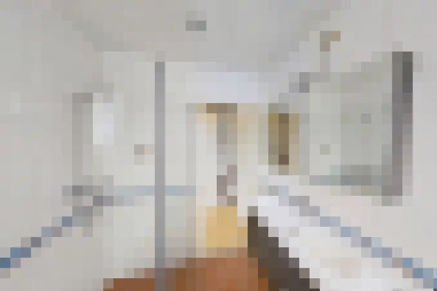 Wierbalg 2812 Julianadorp thumbnail 19