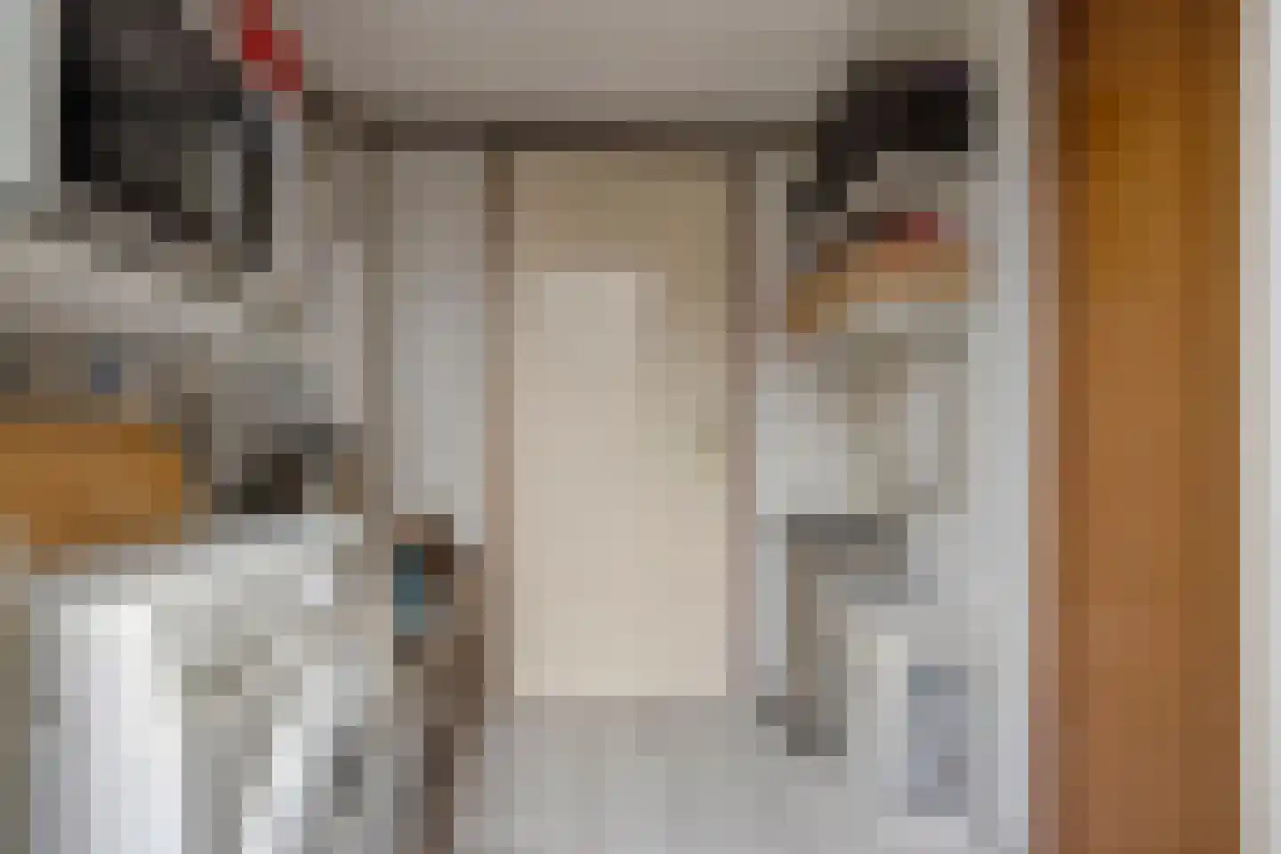 Wierbalg 2814 Julianadorp thumbnail 11