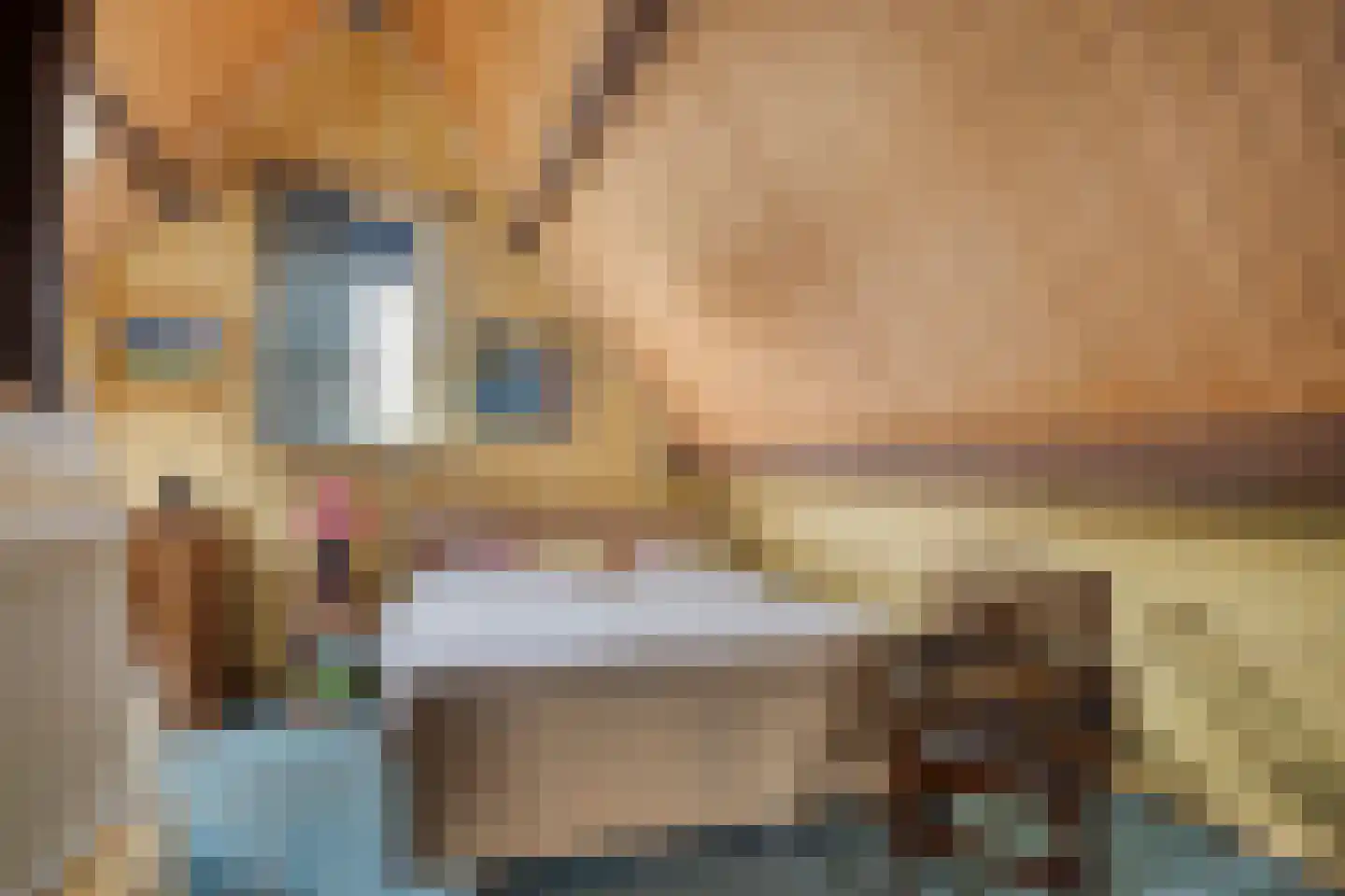 Wierbalg 2814 Julianadorp thumbnail 13